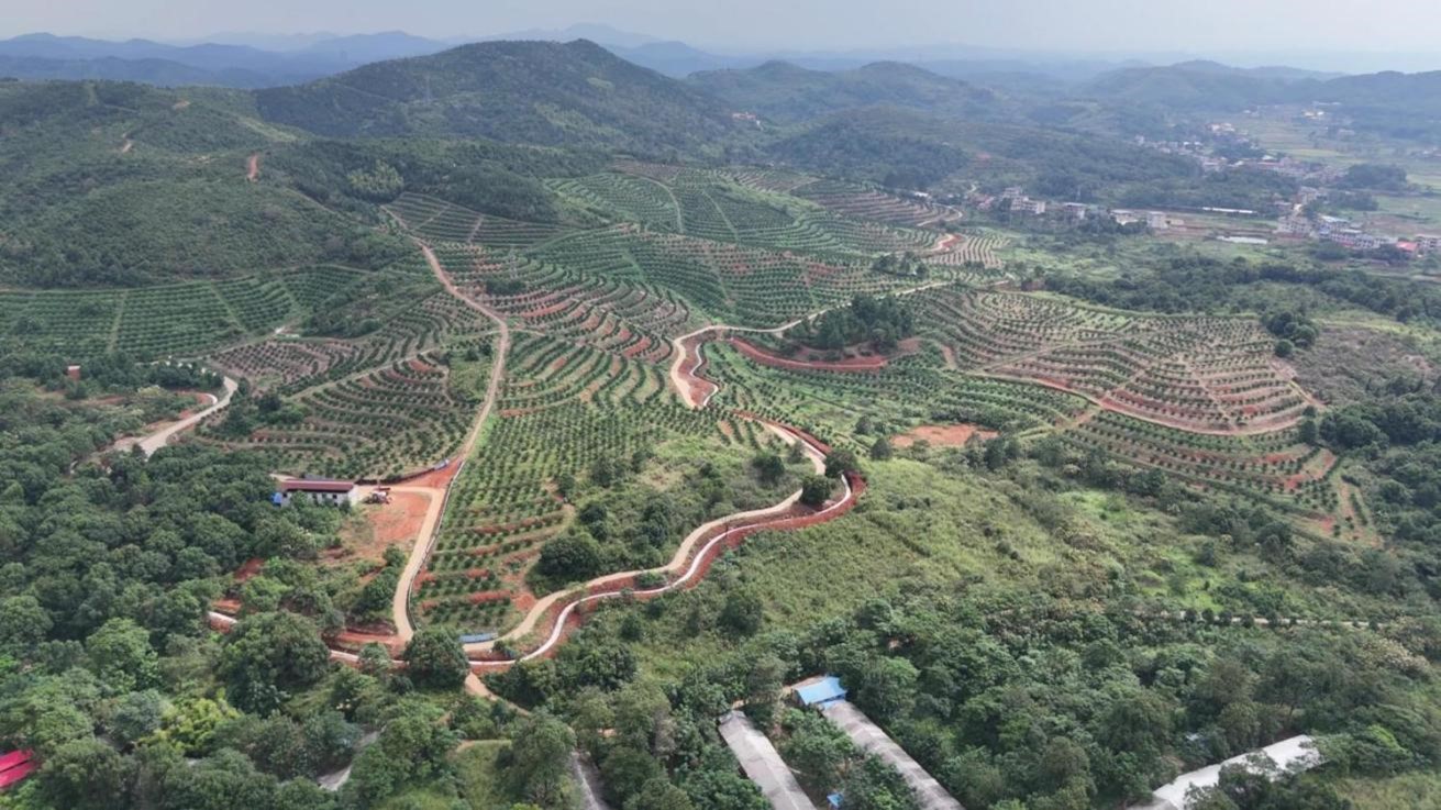 拉菲国际·(中国游)官方网站