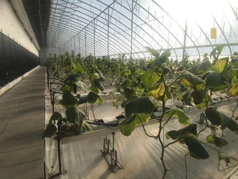 拉菲国际·(中国游)官方网站